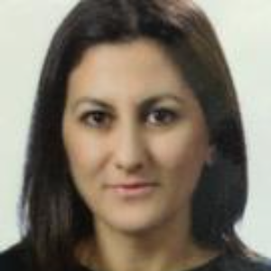 Speaker at Nursing Conference - Gulfer Dogan Pekince