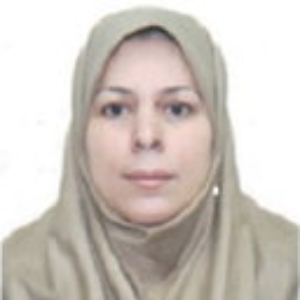 Speaker at Nursing Conference - Sedigheh Pakseresht